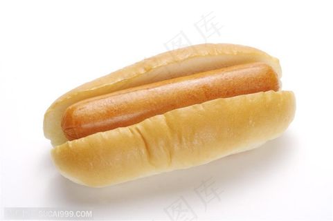 快餐文化-金黄色的肉狗