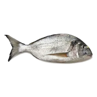 鱼类(8)海鲜超市商品红酒白底图免抠实物摄影png格式图片透明底