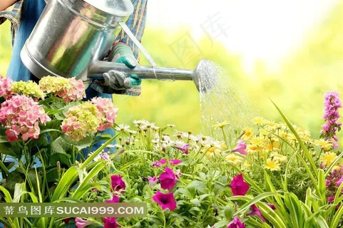 在浇水的园丁与鲜花丛摄影图片 在浇水的园丁与鲜花丛摄影图片