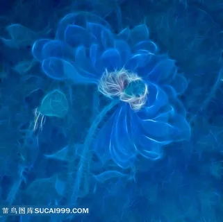 蓝色的炫光荷花