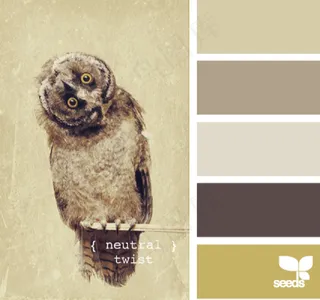 动物配色色卡色彩搭配