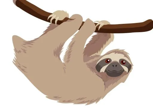 树懒 PNG免抠(1536x1098)