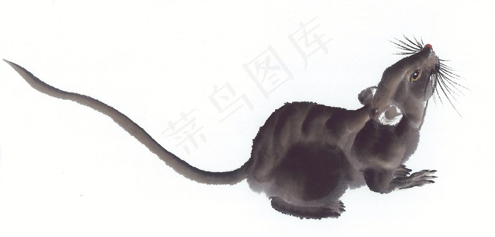 鼠牛虎兔龙蛇马羊猴鸡狗猪设计素材