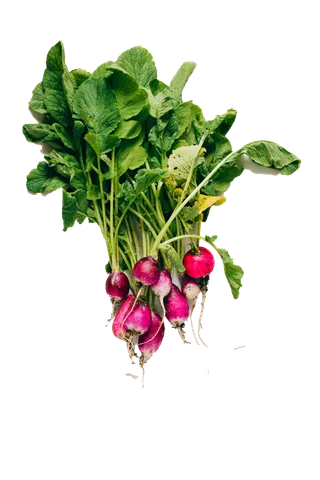 红萝卜 (6)超市商品白底图免抠实物摄影png格式图片透明底