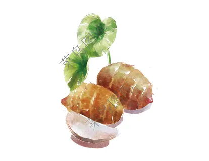 香芋-芋头抽象高清图