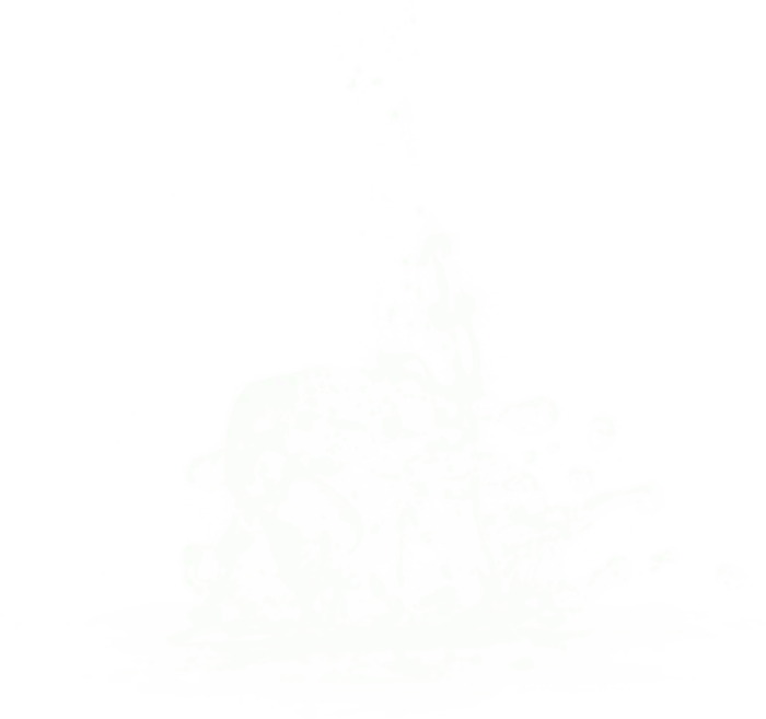 透明水素材