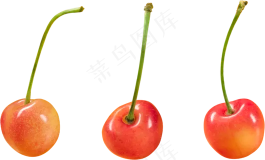 樱桃免抠素材 (37)