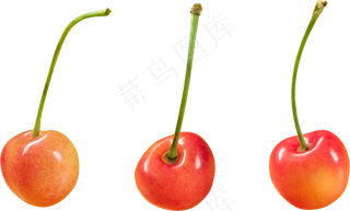 樱桃免抠素材 (37)