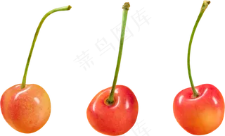 樱桃免抠素材 (37)
