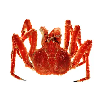 免抠螃蟹摄影实物图片