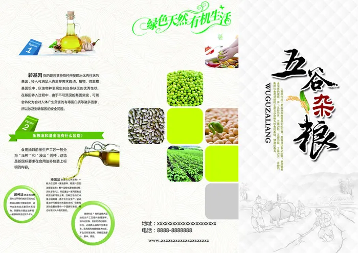 简约风农产品宣传折页反面