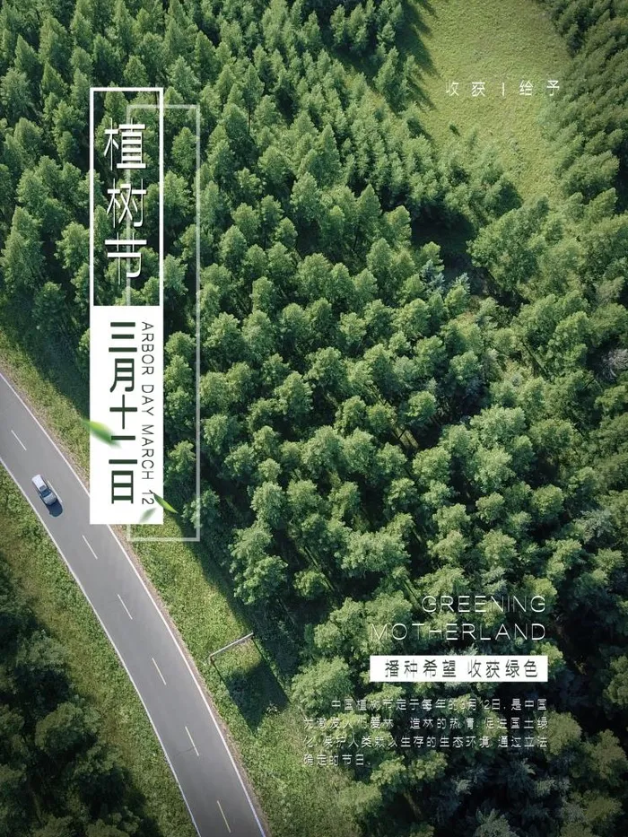 植树节3.12海报psd模版下载
