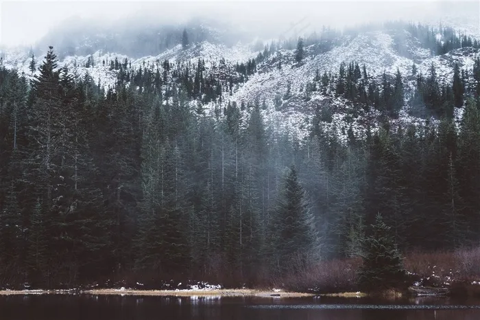美丽雪山和森林