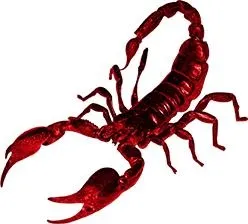 蝎子 PNG免抠(248x224)