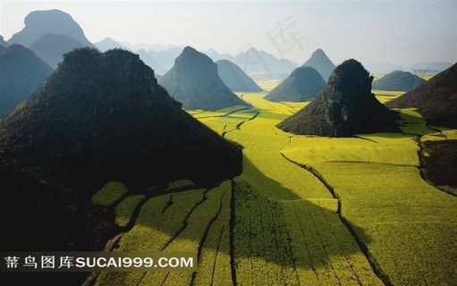 小山和油菜花花海唯美风景图片