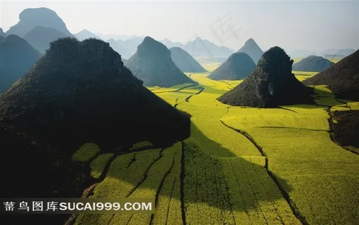 小山和油菜花花海唯美风景图片 小山和油菜花花海唯美风景图片