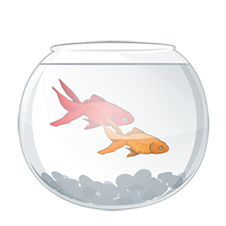 玻璃缸小鱼