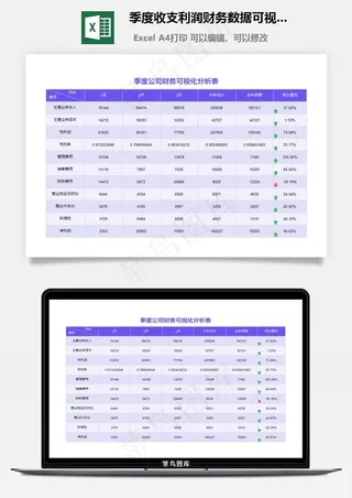 季度收支利润财务数据可视化分析
