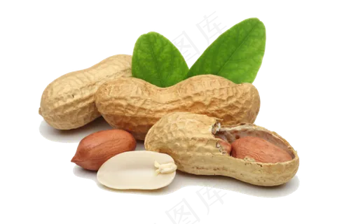 免扣png花生 