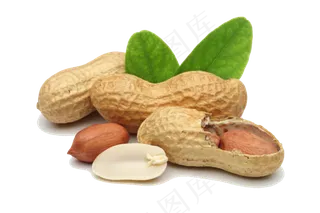 免扣png花生 