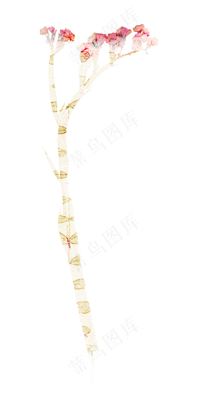 免抠纸花一