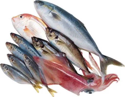 鱼 PNG免抠(514x400)