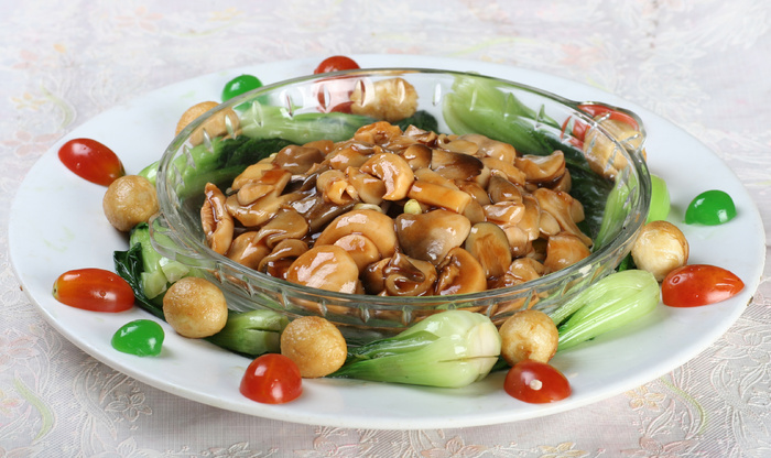 28  珍珠野山菌-保定食俯