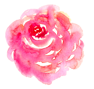 唯美森系手绘水彩花朵 免抠