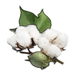 棉花 PNG免抠(256x256)