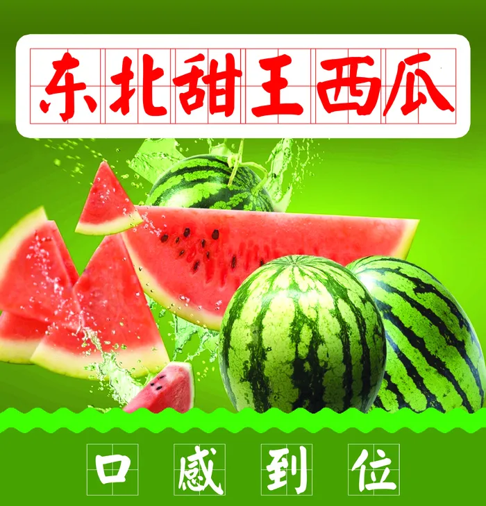 东北甜王西瓜psd模版下载