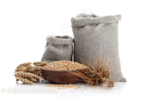 颗粒饱满的小麦特写 颗粒饱满的小麦特写