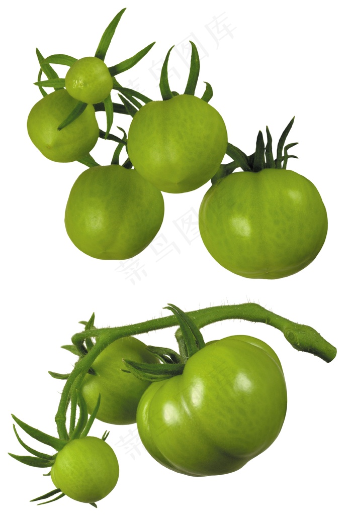 西红柿素材图片下载