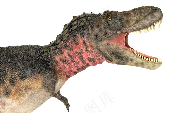 站立的恐龙模型素材