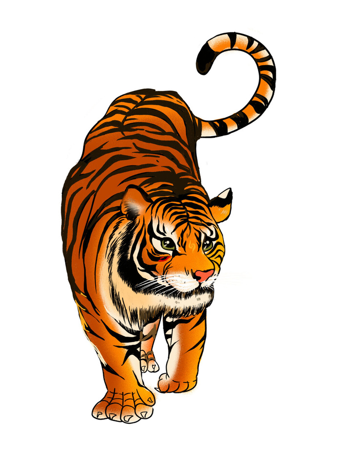 手绘国潮虎年卡通白虎老虎形象插画装饰元素PSD设计素材png免抠图