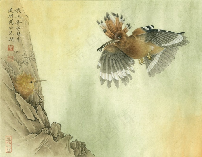 戴胜西归花鸟国画