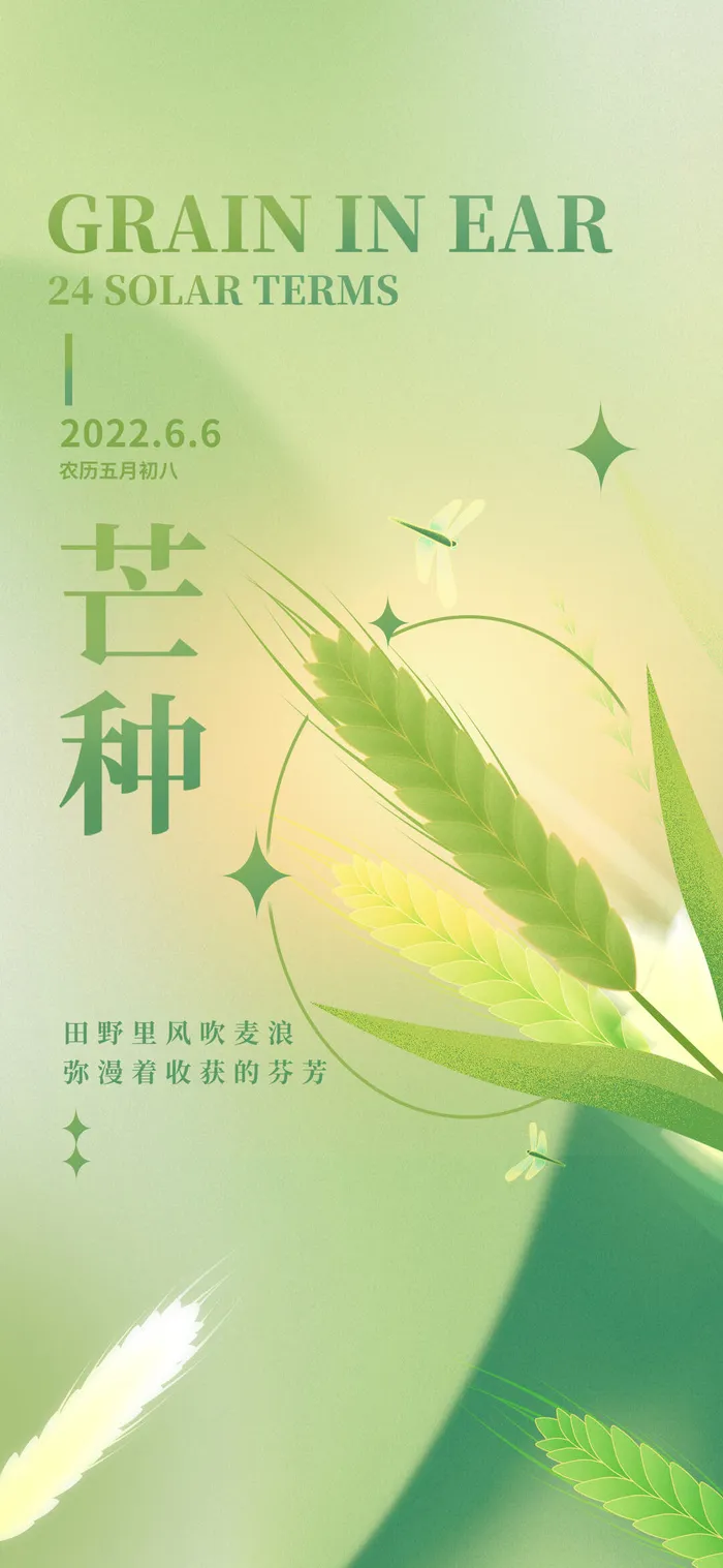 中国传统24节气芒种微信宣传海报