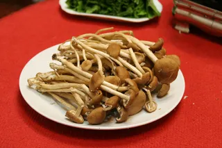 三丝茶树菇（干煸  炒肉）