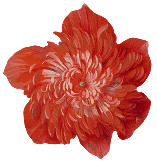 复古油画质感宫廷花卉植物花朵鲜花拼贴图案PNG免抠图片设计素材