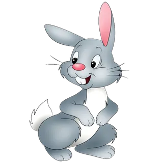 兔子灰色兔年