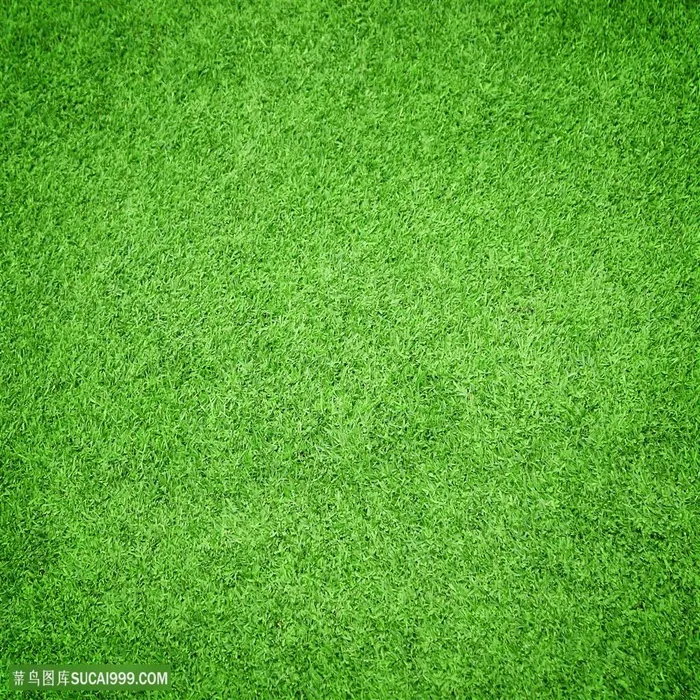 创意绿色草地背景高清图片