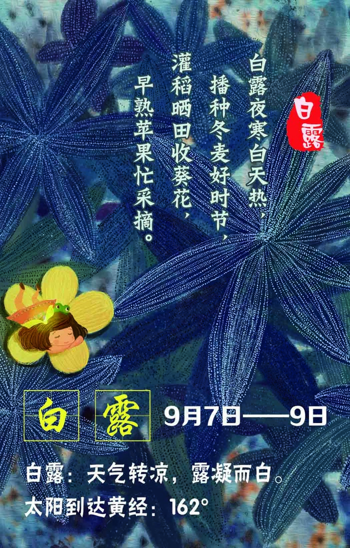 二十四节气白露psd模版下载