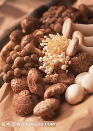 蘑菇金针菇高清图片