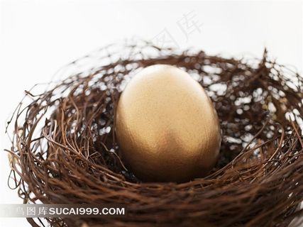 金色鸟蛋鸟窝素材