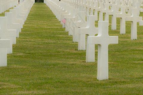 墓园白色墓牌图片