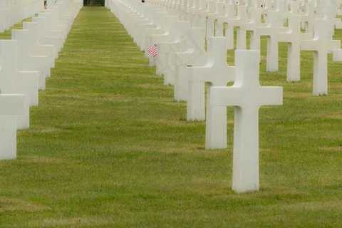 墓园白色墓牌图片