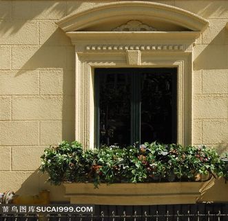 欧式别墅窗台绿化