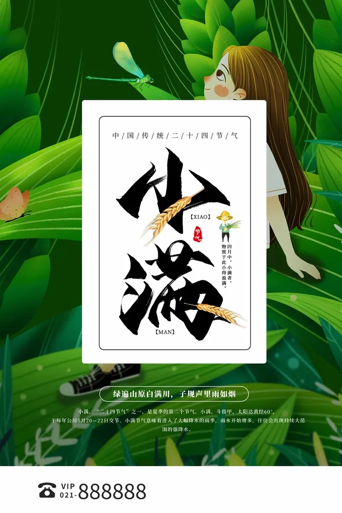 小满 小满活动宣传psd模版下载