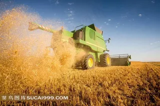 正在抢收的麦田