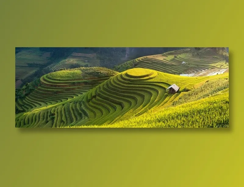 美丽的梯田美景