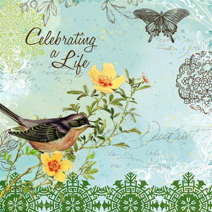 欧式花鸟装饰画